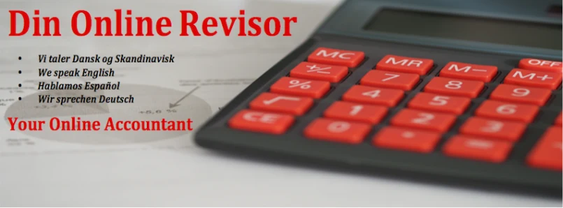Din Online Revisor
